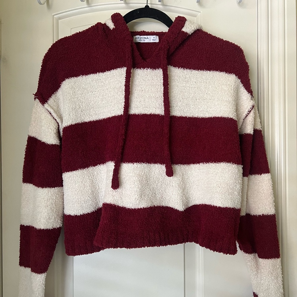 Arizona Cropped Stripe Hoodie